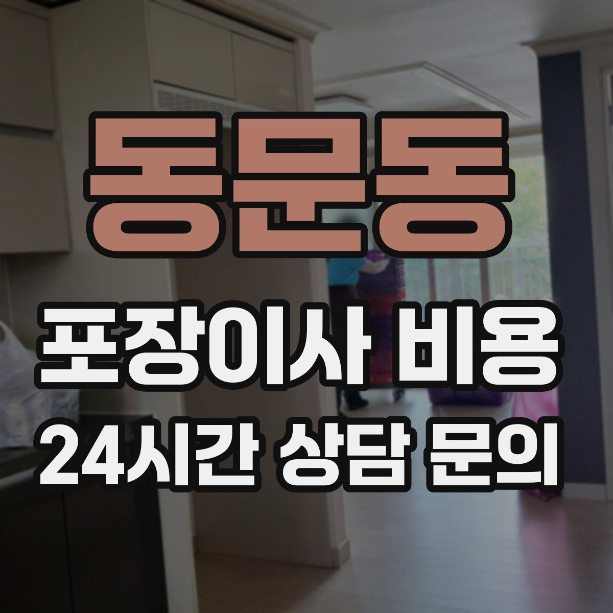 동문동 포장이사 비용