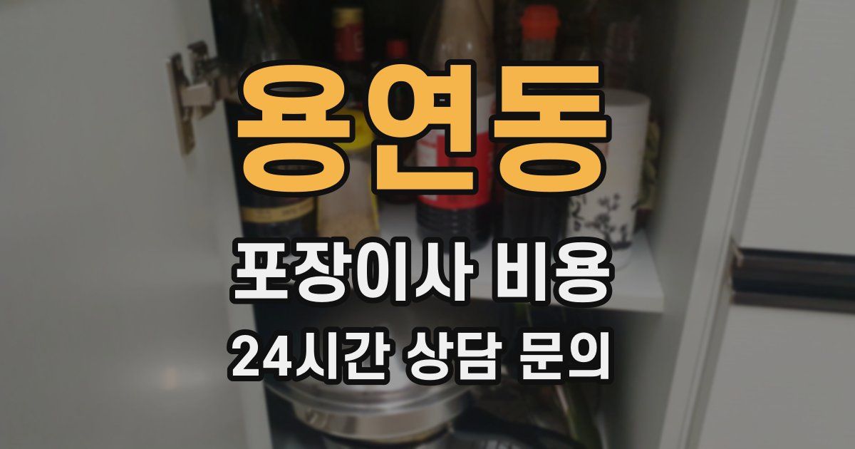 용연동 포장이사 비용
