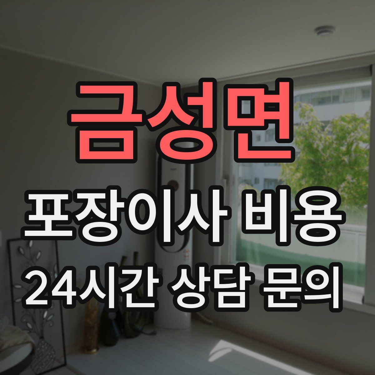 금성면 포장이사 비용