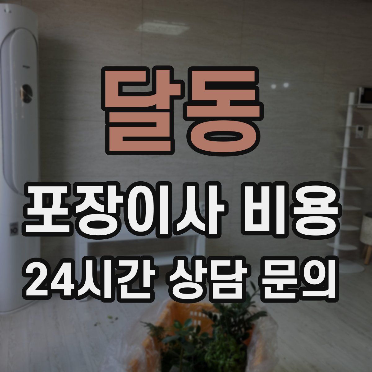 달동 포장이사 비용