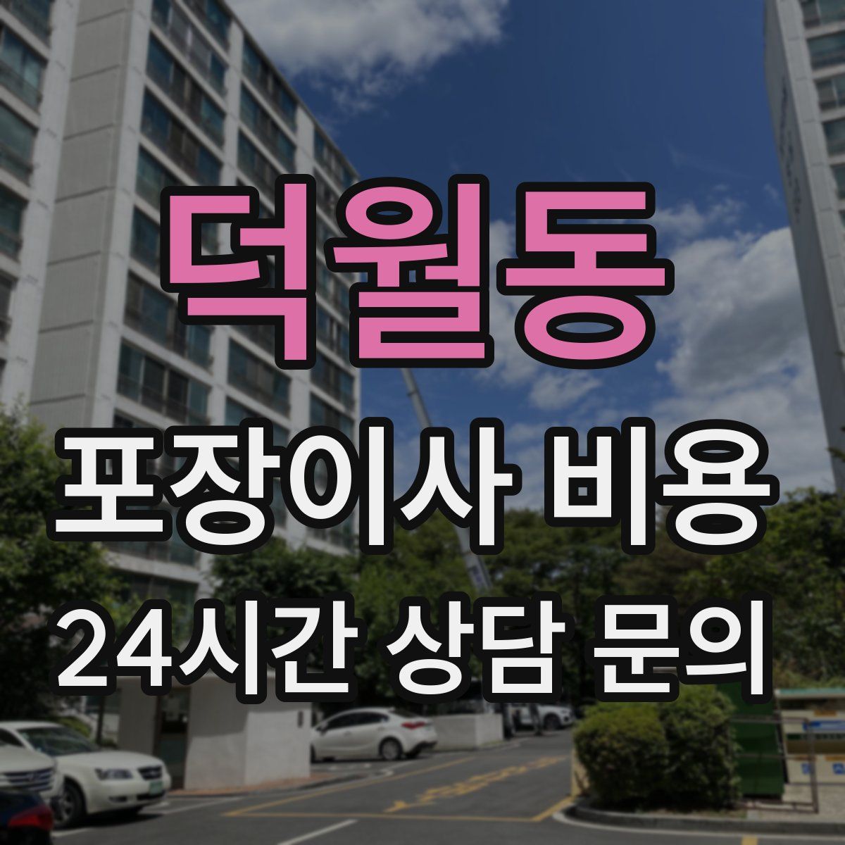 덕월동 포장이사 비용