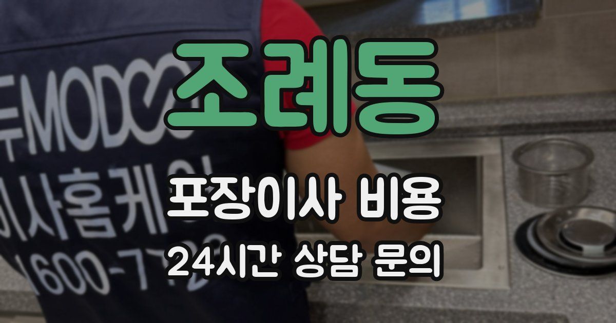 조례동 포장이사 비용