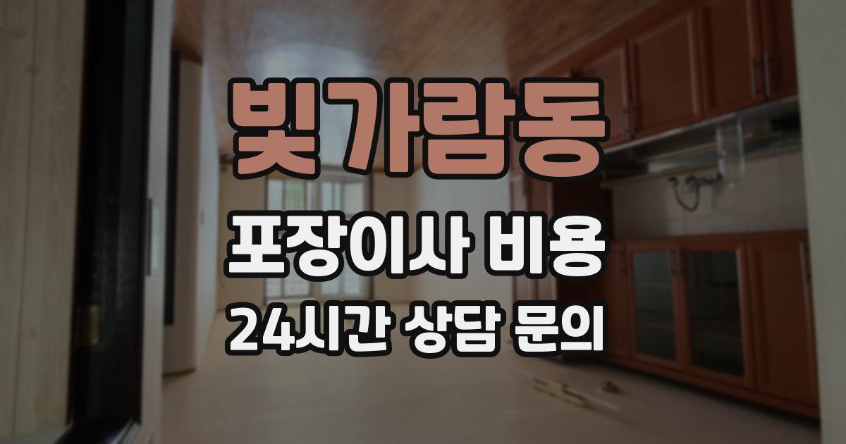 빛가람동 포장이사 비용