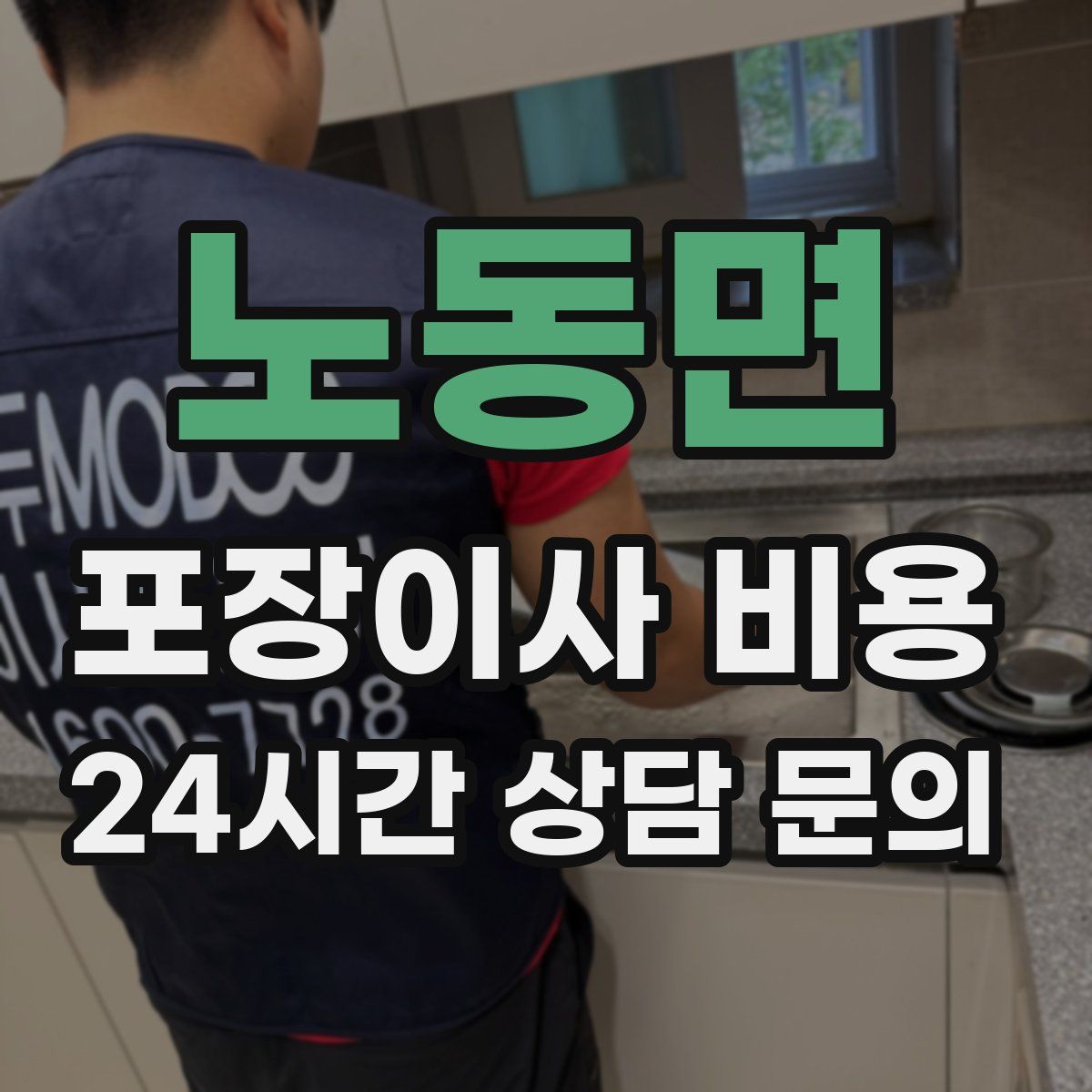 노동면 포장이사 비용