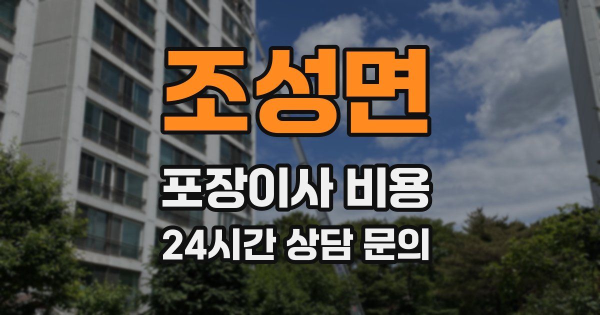 조성면 포장이사 비용