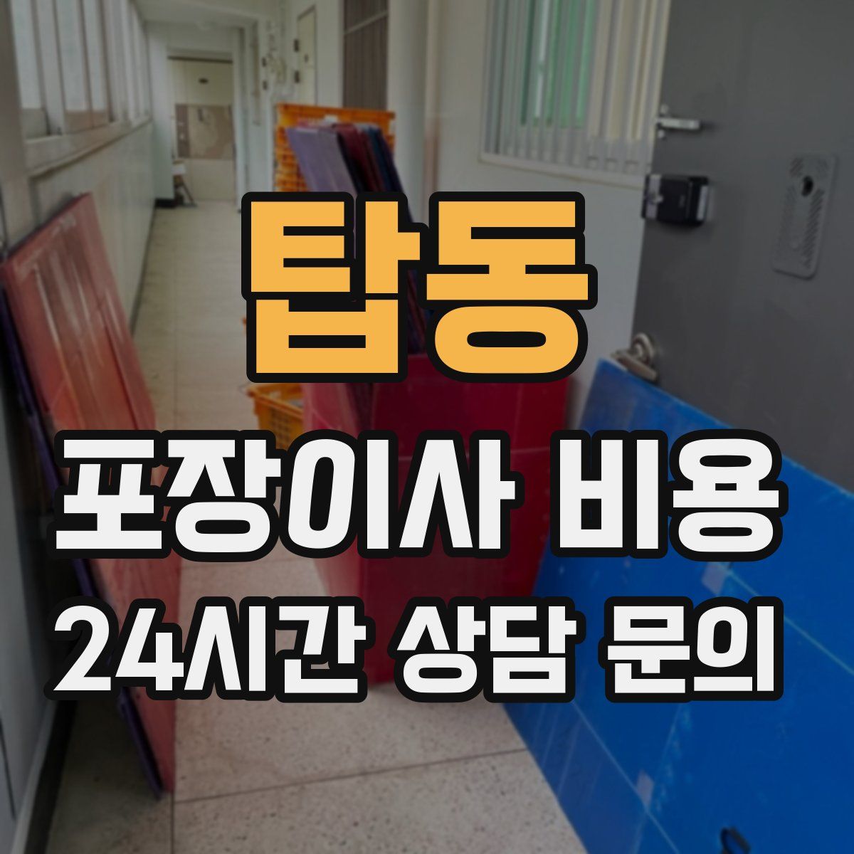 탑동 포장이사 비용