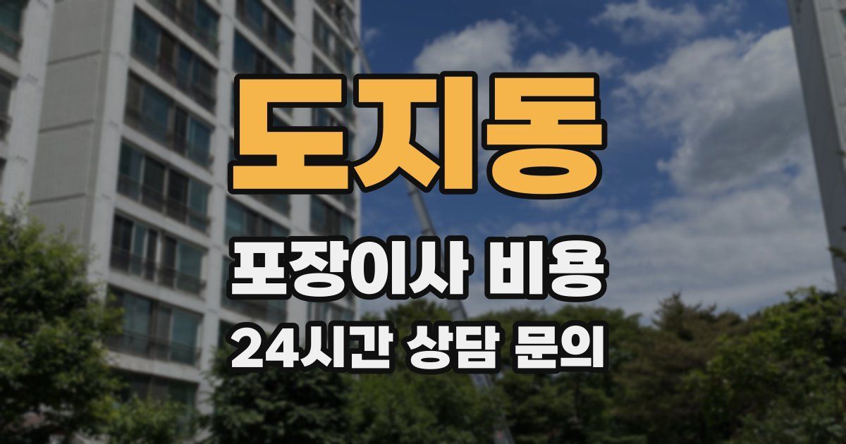 도지동 포장이사 비용