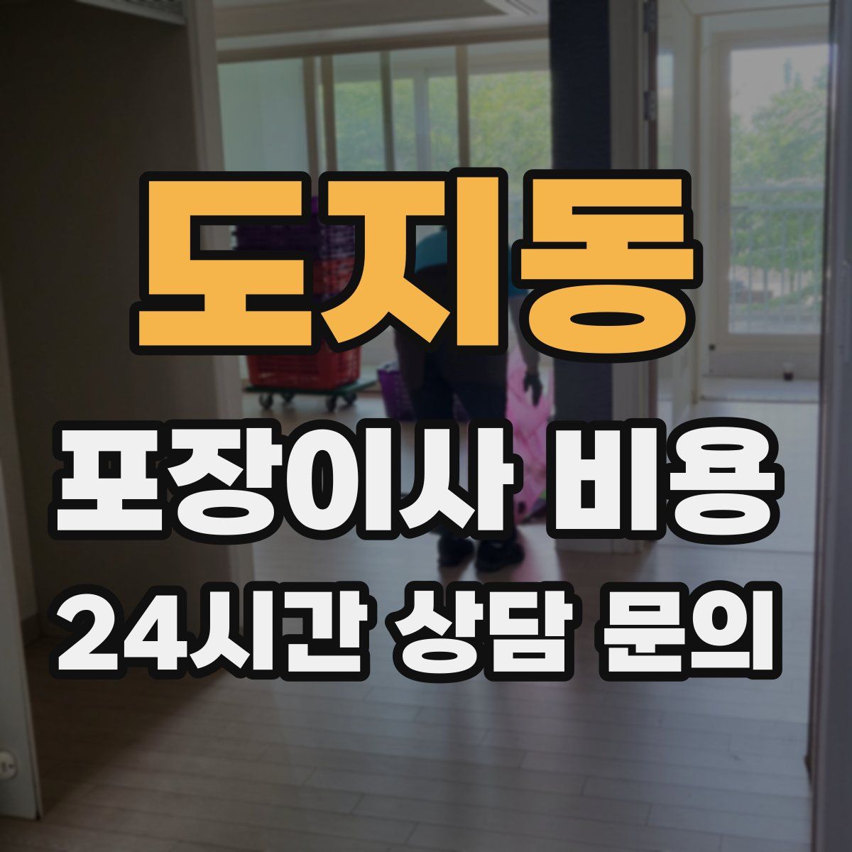 도지동 포장이사 비용