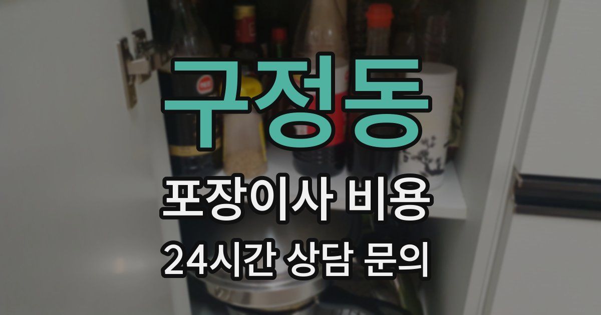 구정동 포장이사 비용