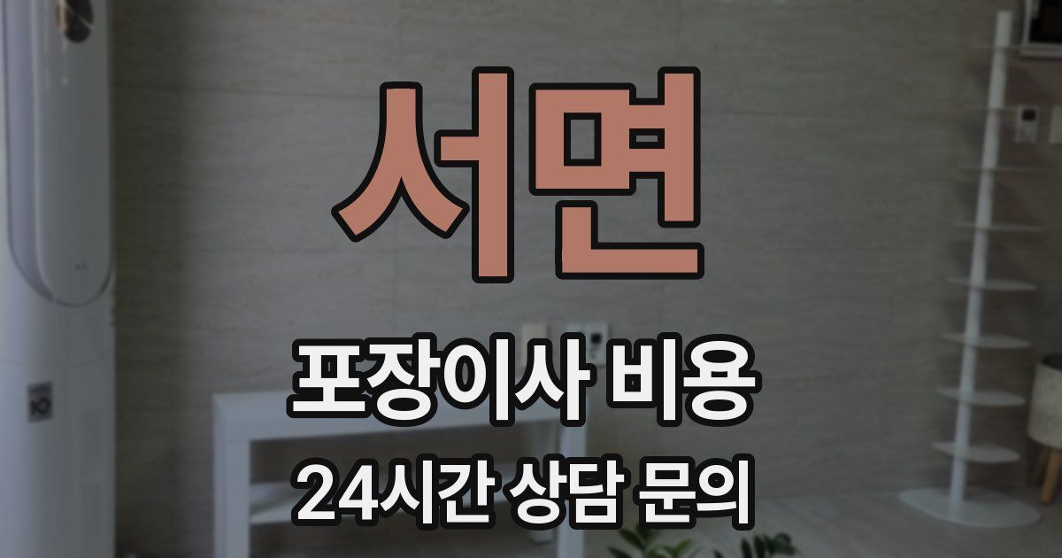 서면 포장이사 비용