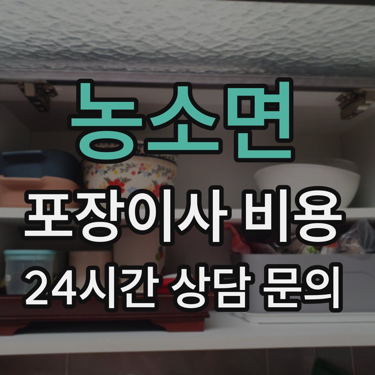 농소면 포장이사 비용