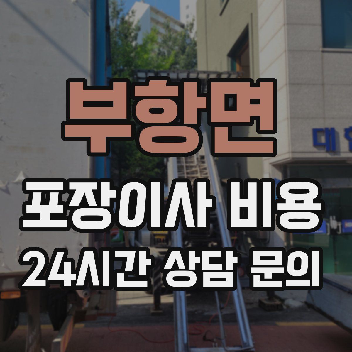 부항면 포장이사 비용