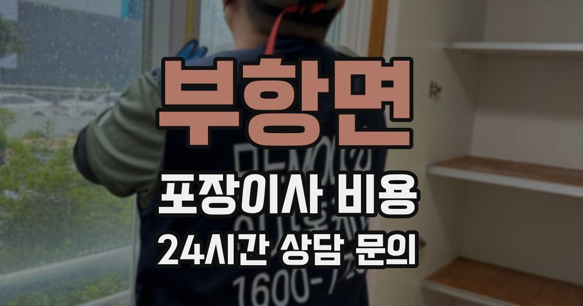 부항면 포장이사 비용