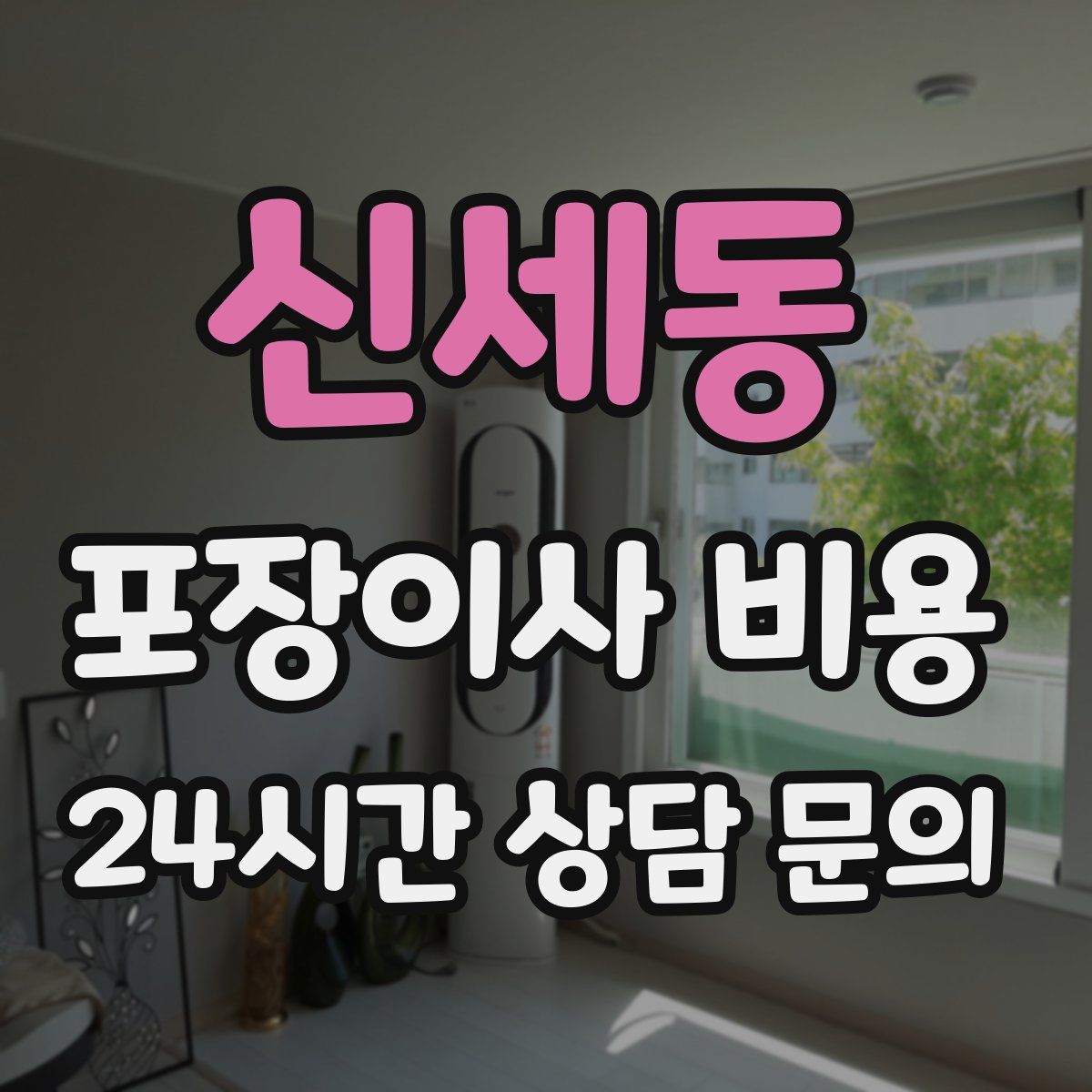 신세동 포장이사 비용