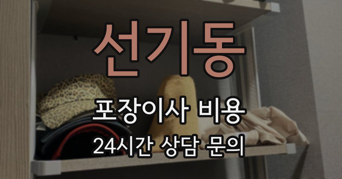 선기동 포장이사 비용