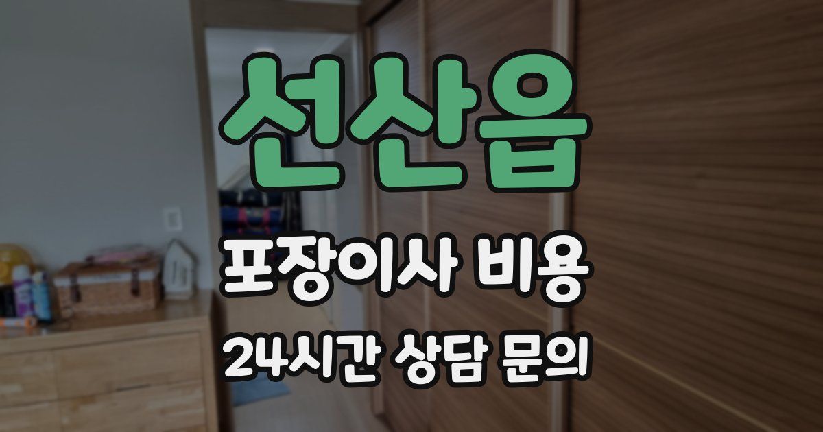 선산읍 포장이사 비용