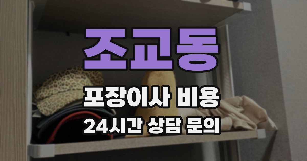 조교동 포장이사 비용