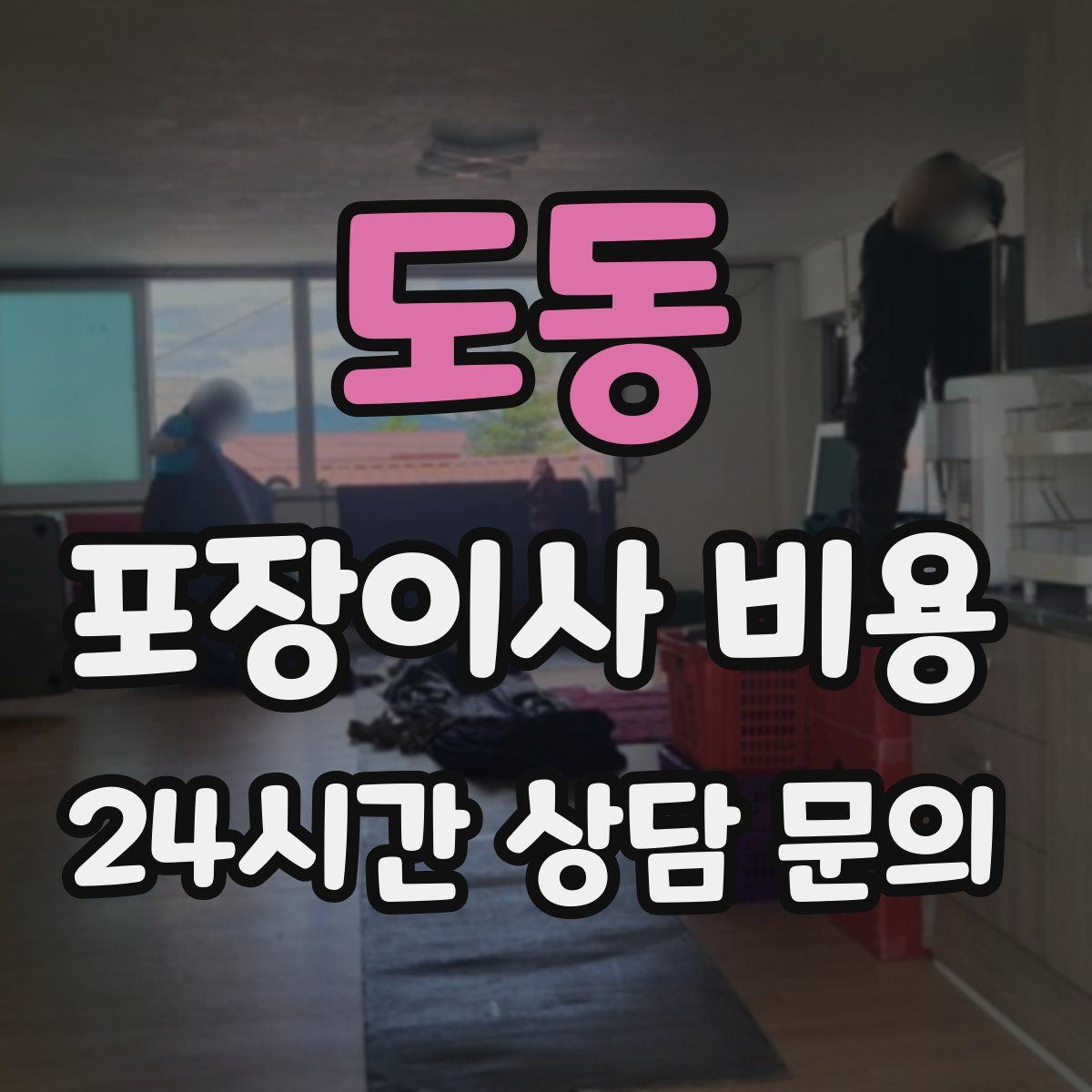 도동 포장이사 비용