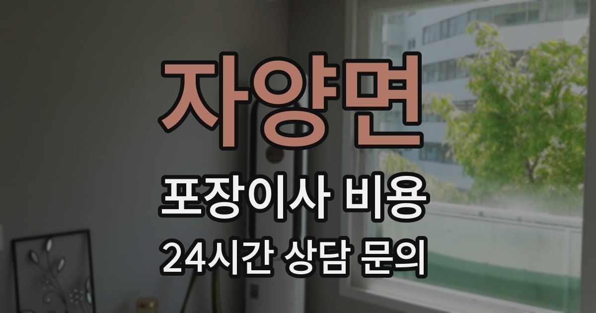 자양면 포장이사 비용