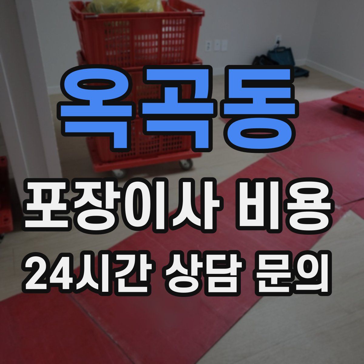 옥곡동 포장이사 비용