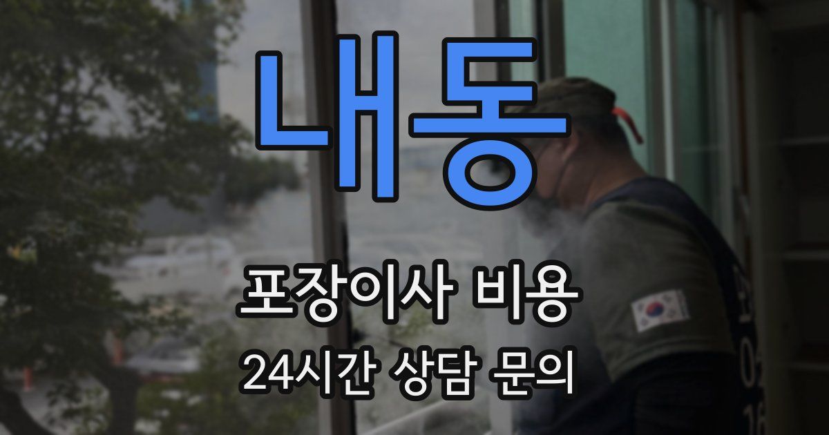 내동 포장이사 비용