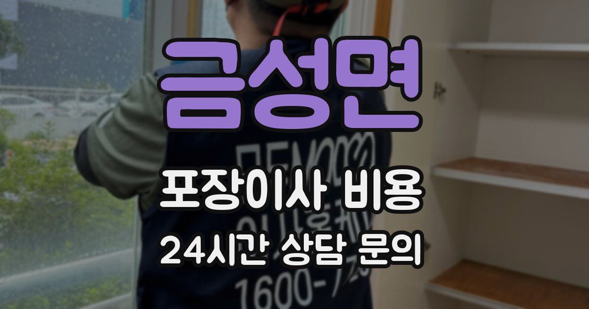 금성면 포장이사 비용