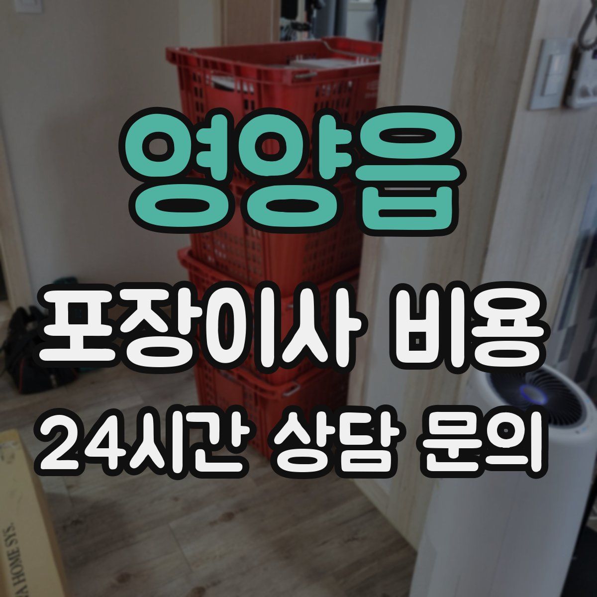 영양읍 포장이사 비용