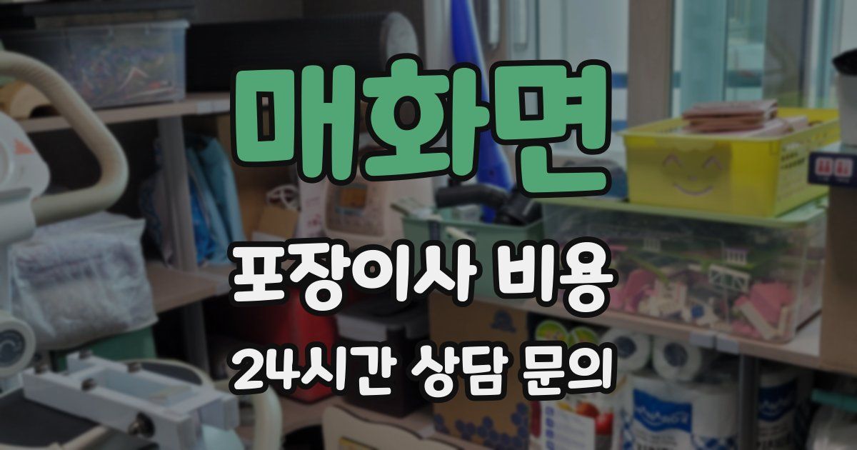 매화면 포장이사 비용