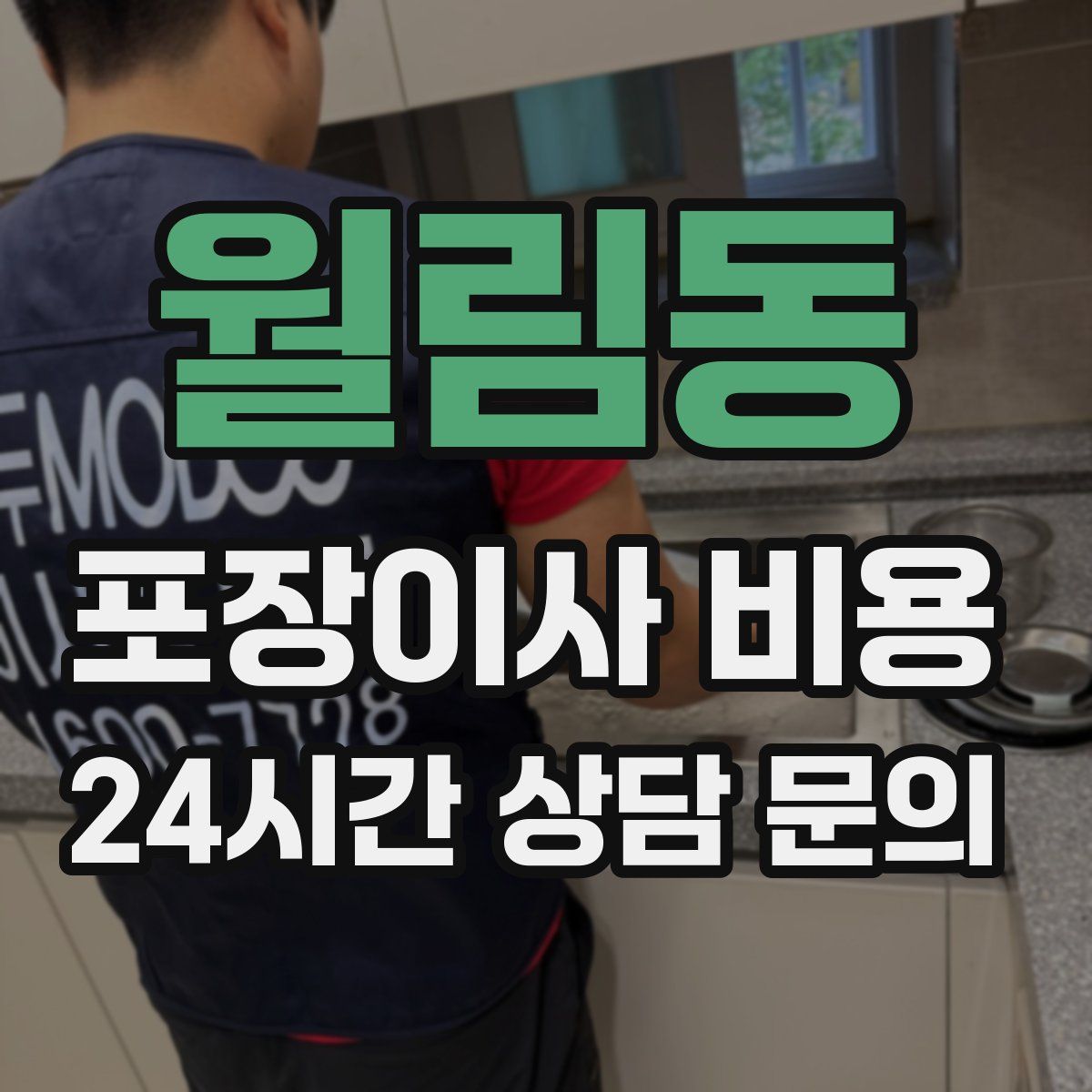 월림동 포장이사 비용