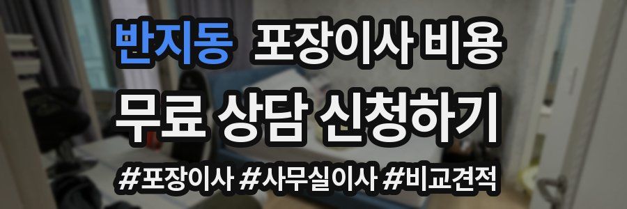 반지동 포장이사 비용