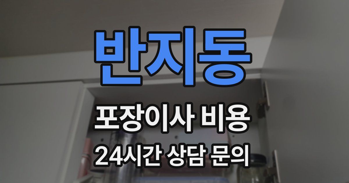 반지동 포장이사 비용