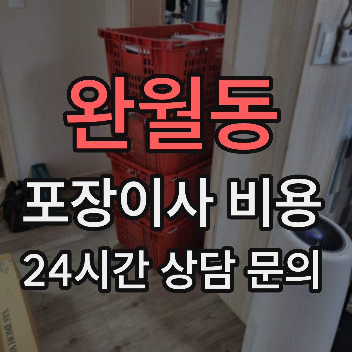 완월동 포장이사 비용
