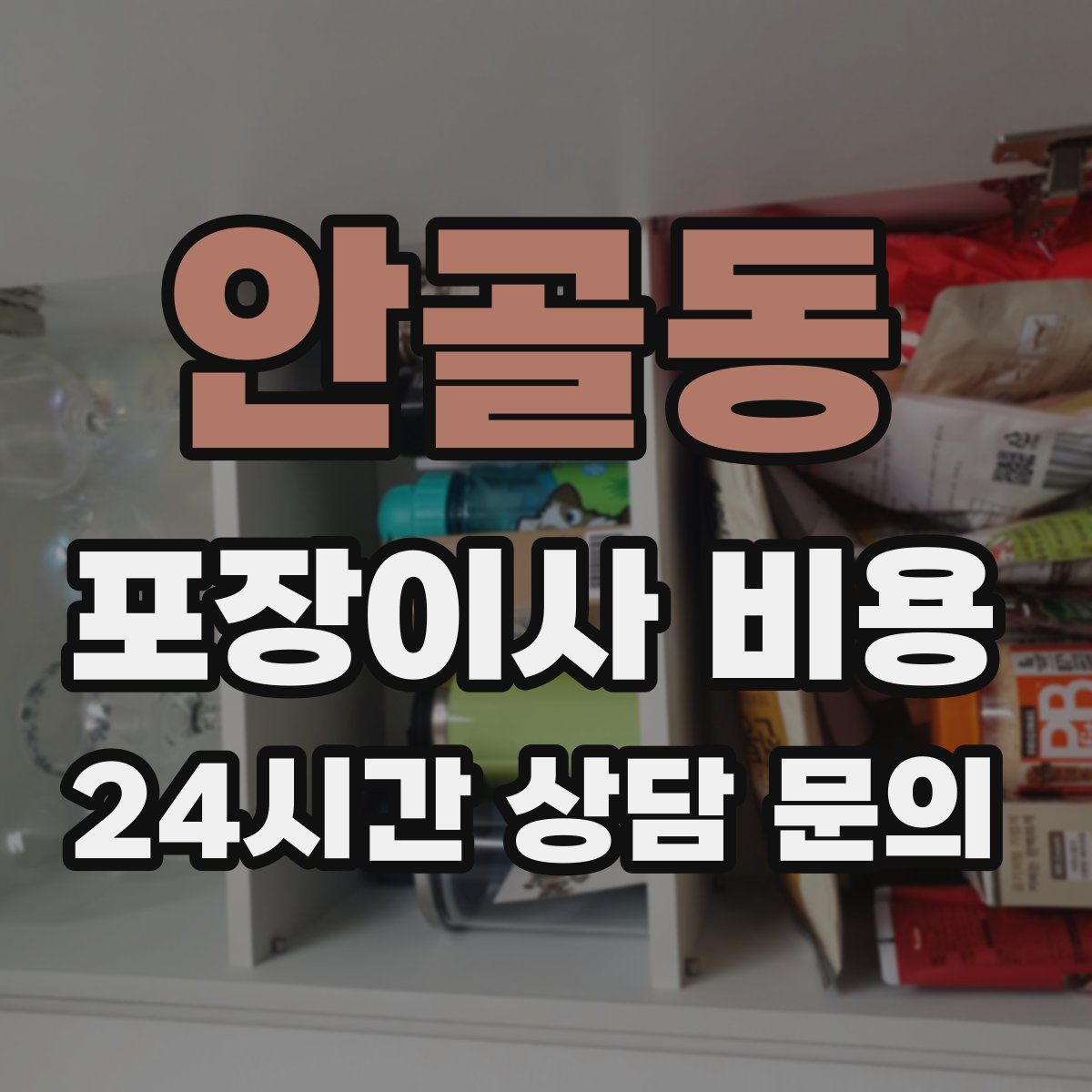 안골동 포장이사 비용