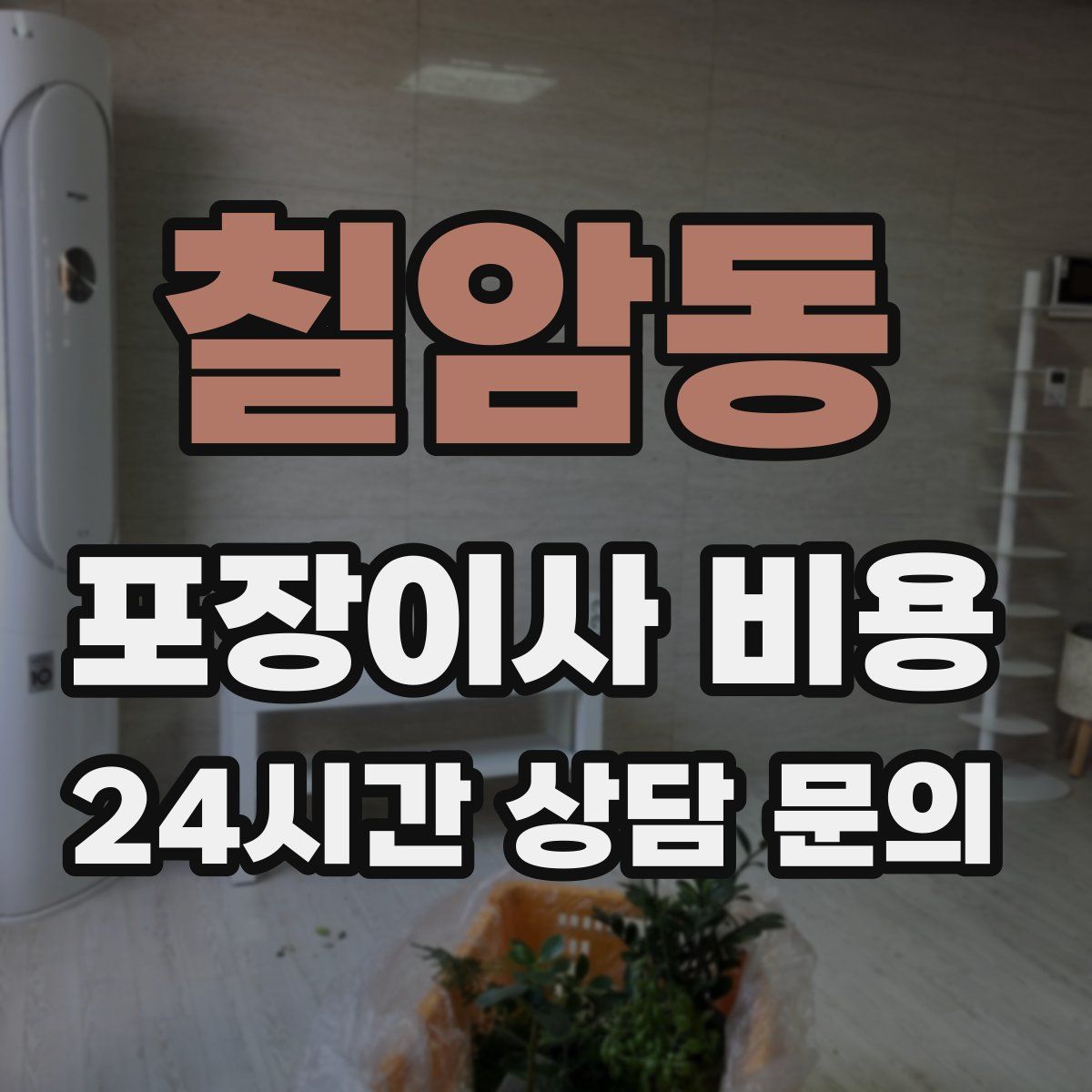 칠암동 포장이사 비용