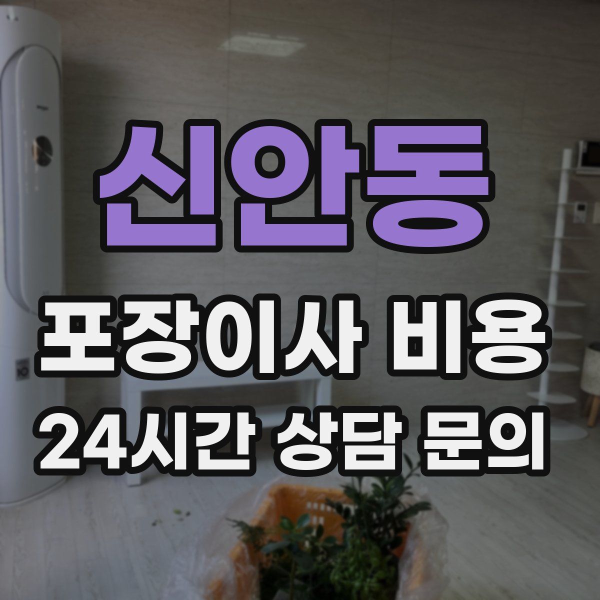 신안동 포장이사 비용