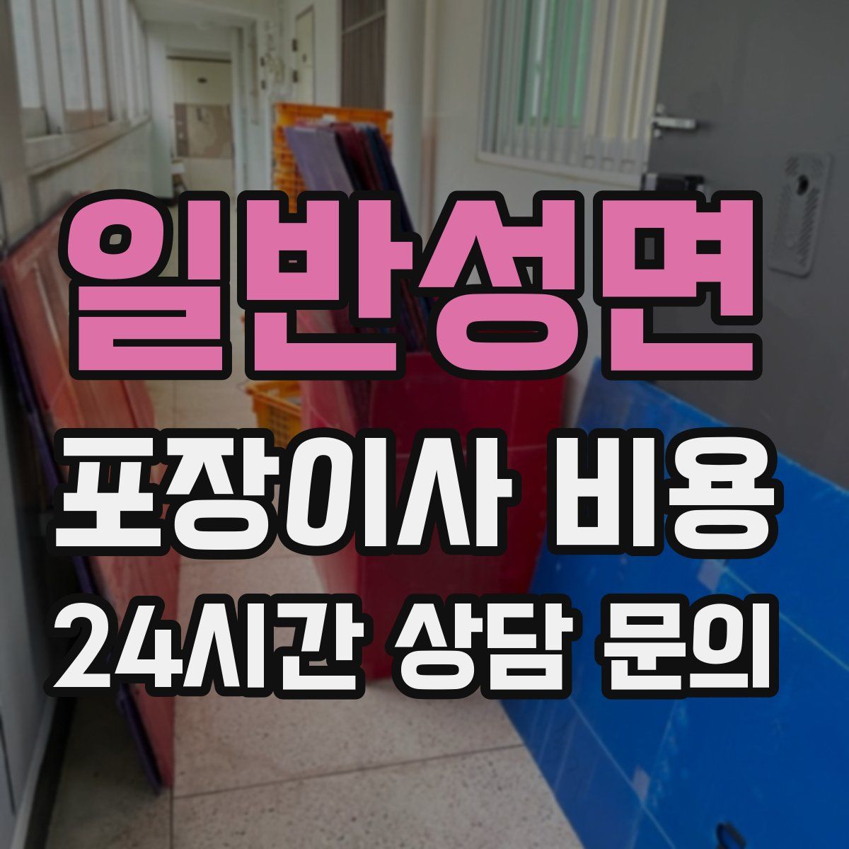 일반성면 포장이사 비용