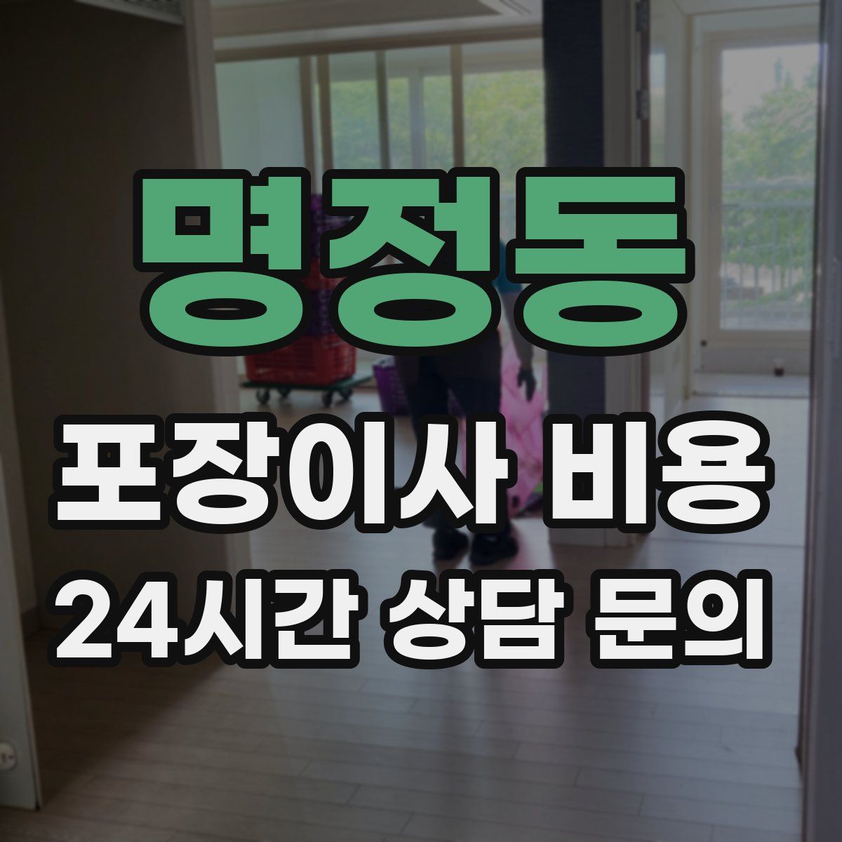 명정동 포장이사 비용