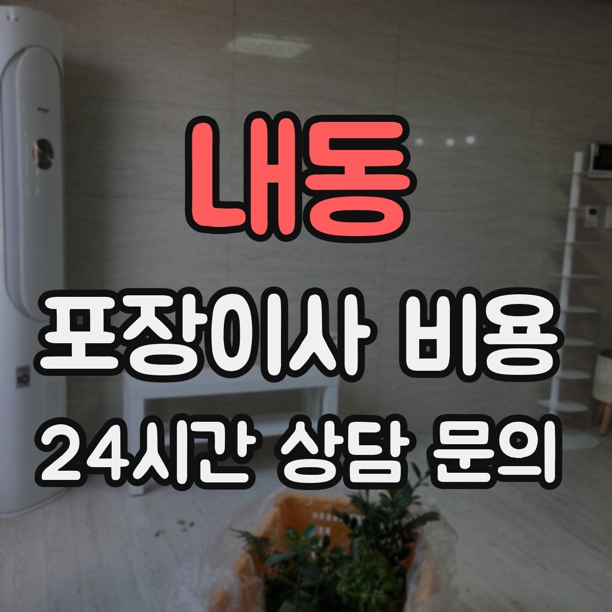 내동 포장이사 비용