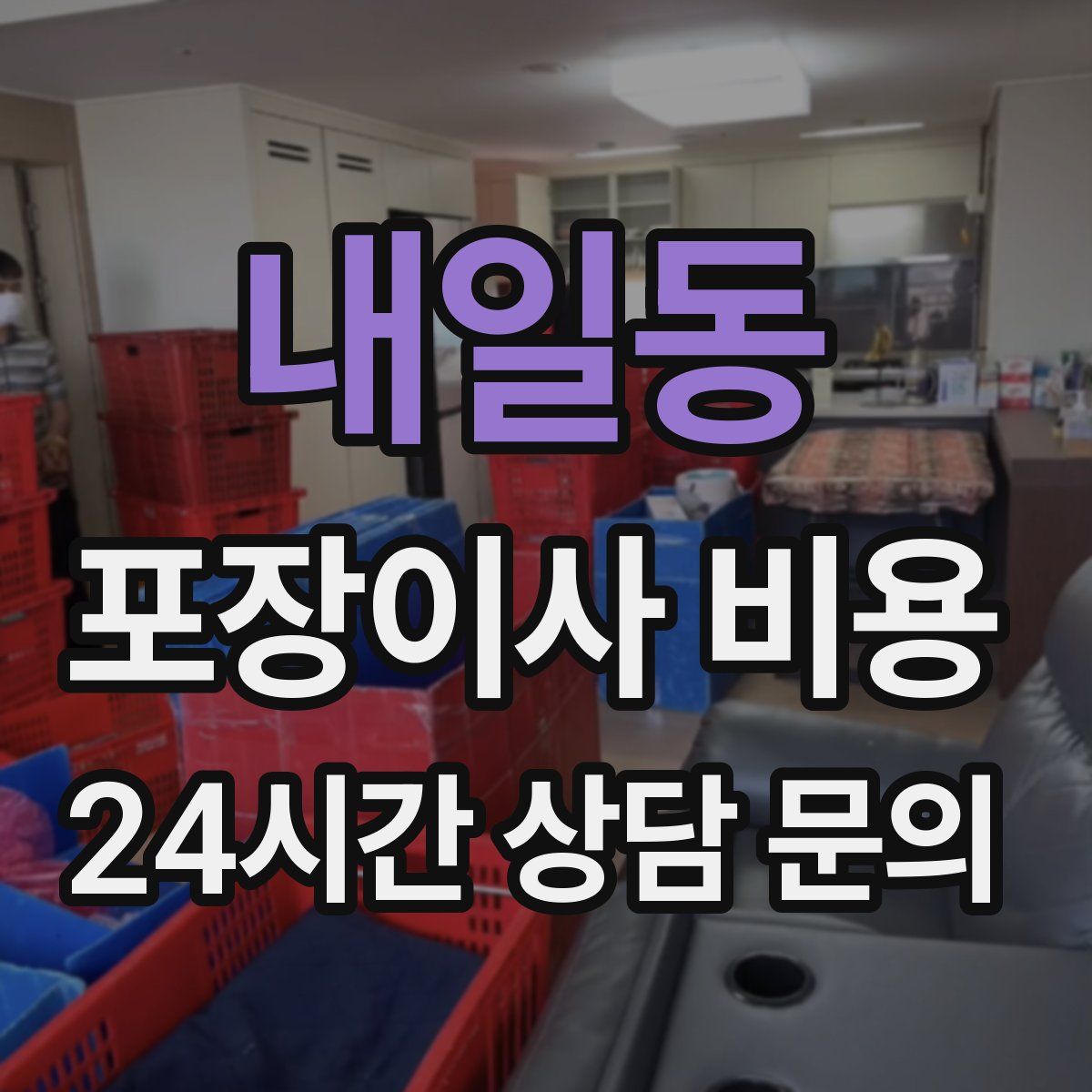 내일동 포장이사 비용