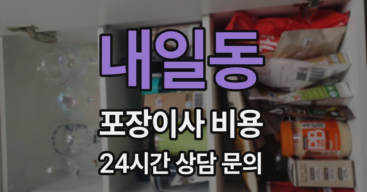 내일동 포장이사 비용