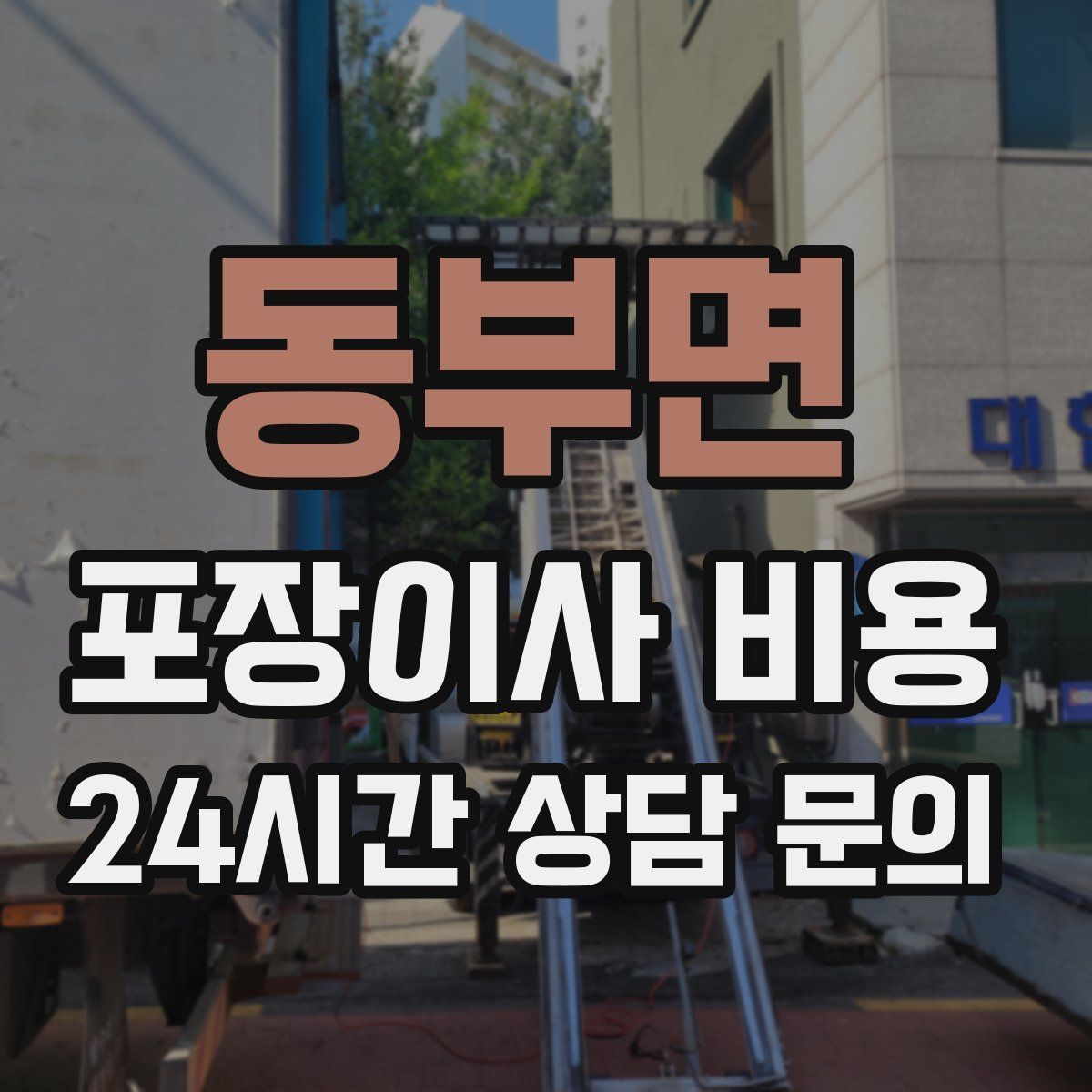 동부면 포장이사 비용