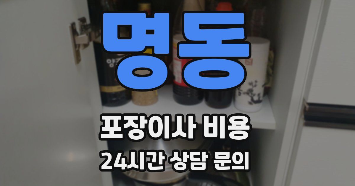 명동 포장이사 비용