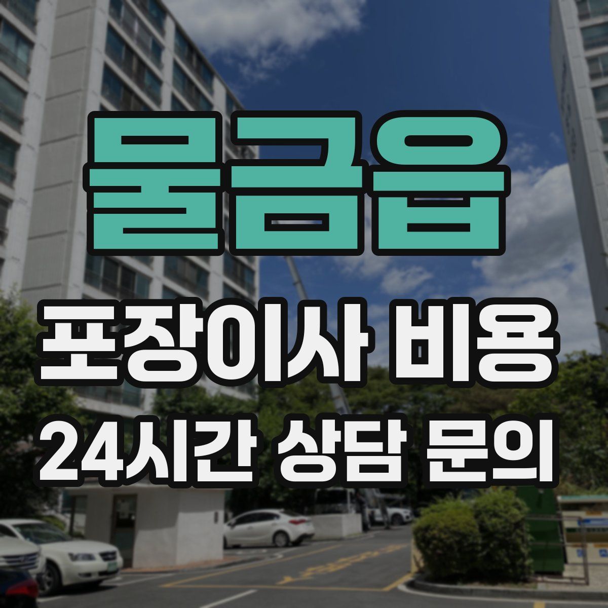물금읍 포장이사 비용