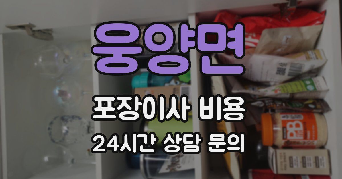 웅양면 포장이사 비용