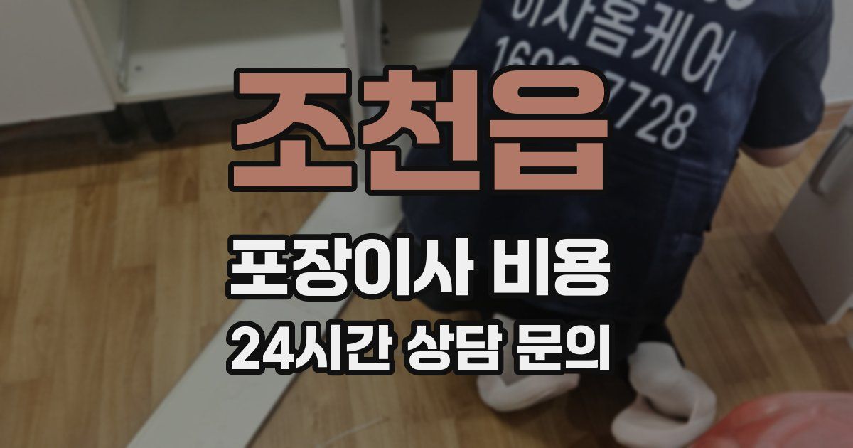 조천읍 포장이사 비용