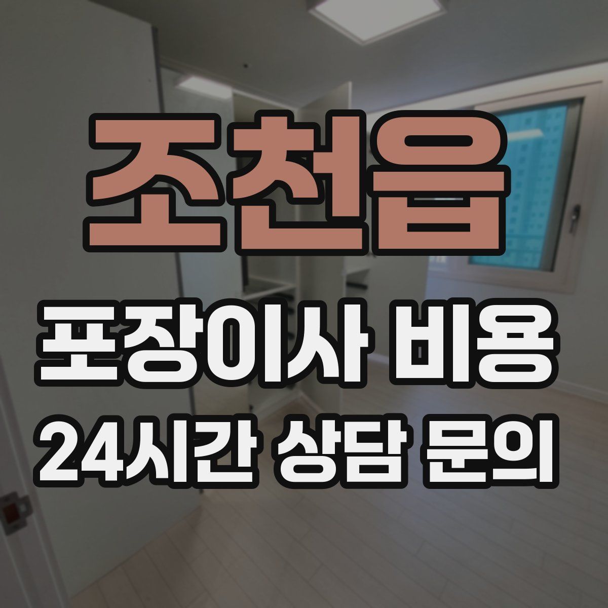 조천읍 포장이사 비용