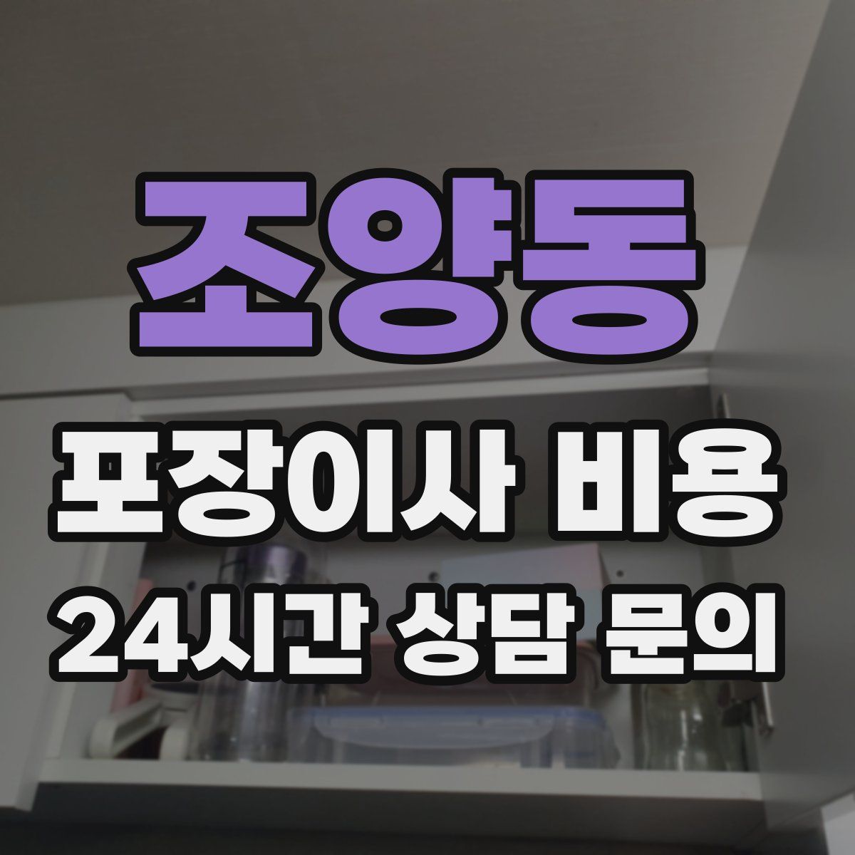 조양동 포장이사 비용