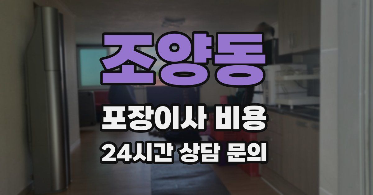 조양동 포장이사 비용