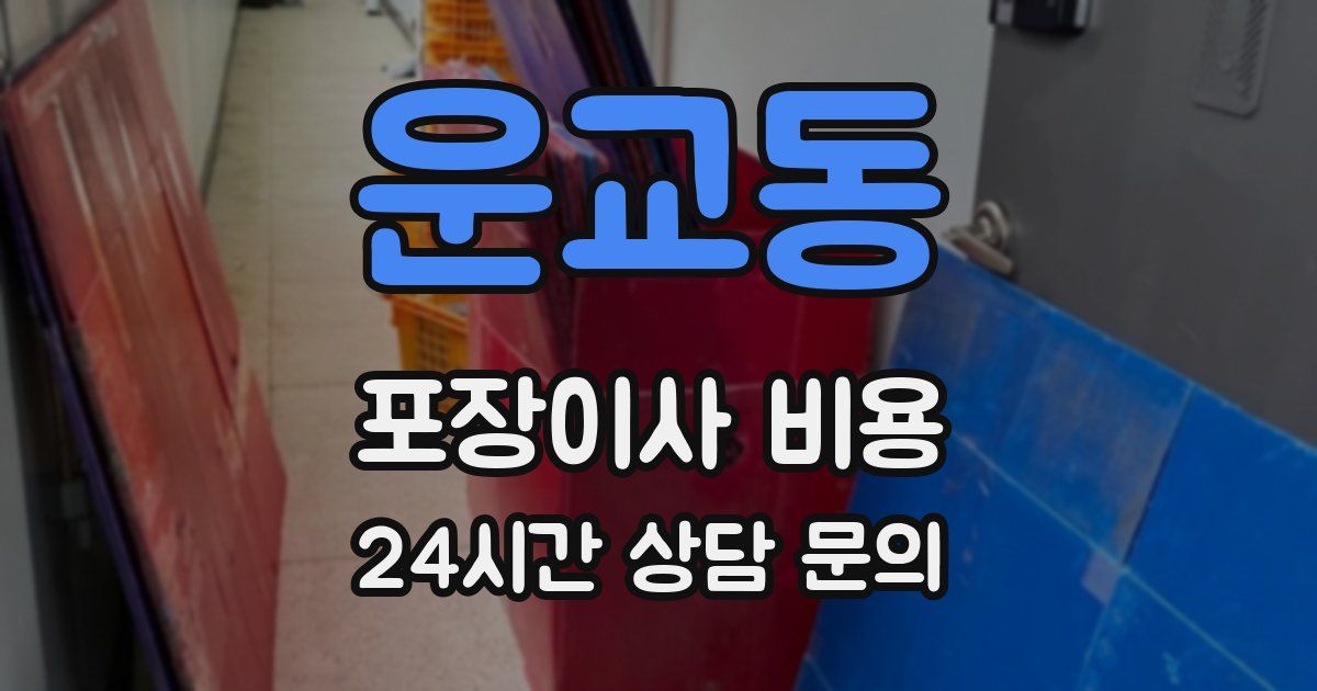 운교동 포장이사 비용