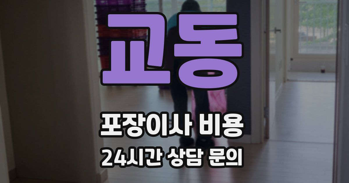 교동 포장이사 비용